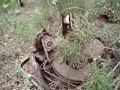 Abandoned Rusted Car Wreck