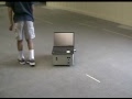 Puppy function works on Swan robot