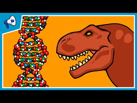 how to define dna