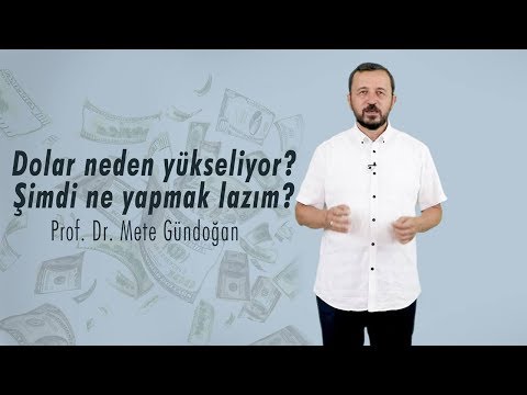 Prof. Dr. Mete GÜNDOĞAN: Dolar Neden Yükseliyor? Şimdi Ne Yapmak Lazım?
