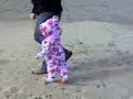 Seaside