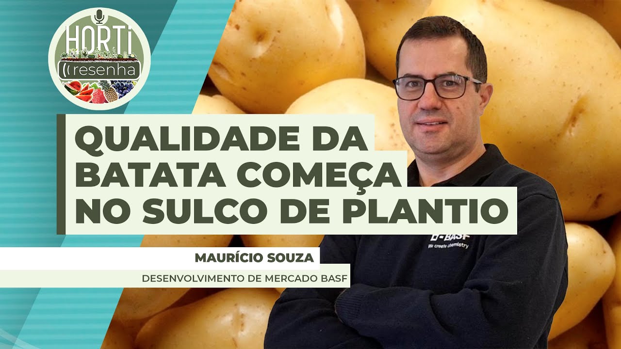 HORTI RESENHA #99 - Qualidade da batata começa no sulco de plantio, que demanda atenção especial