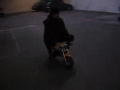 Pocket Bike