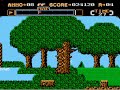 a fun little light gun game for the nes. i know in other games you have the option of doing stuff with the second controller, but i think this may be the only one where you have to use both at once.
