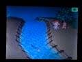 arowana