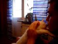 眠りネコ動画