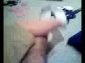 Hardcore Foot Sex Hardcore Foot Sex