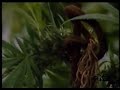 Polskie Kroniki Filmowe - Skr?t Polskie Kroniki Filmowe - Skr?t
