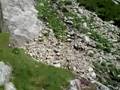 Tuckerman-David and Donny.AVI