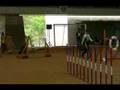 Dog Agility (Jun/27/2007 JKC Final Jumping Large Vol.12)