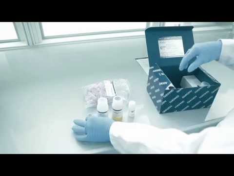 how to isolate dna for pcr