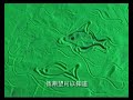 cai cai