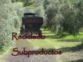 Tierra y Mar Canal Sur Andalucia TV Compost Cortijo Angulo H Q10