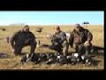 Canada Goose hunt Iron Duck camp