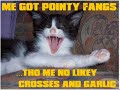 vERY fUNNY cATS 15