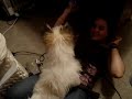 MOV03306.MPG