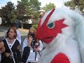 The Talking Blaziken The Talking Blaziken