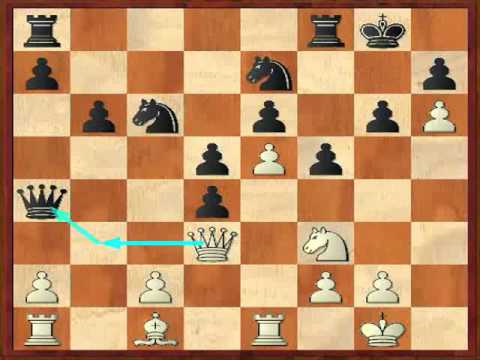instant checkmate