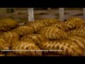 Turismo Puebla - Recorri2 por Zacatlán Puebla