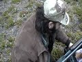 12 Gauge 2