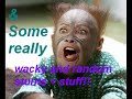 random comedy slide-show,music: on the ride and love song
