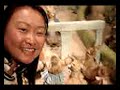 beatrix potter attraction 9
