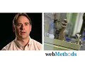 Ingersoll Rand uses webMethods