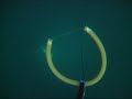 Spearfishing Qatar - king mackerel