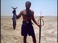 Spearfishing Qatar - king mackerel