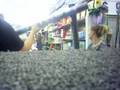 [short video] Jacqulyn and Felicia