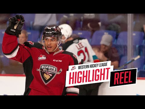 2019-20 HIGHLIGHT REEL | Justin Sourdif