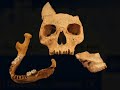 Inceputuri Inceputuri