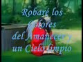 Yo te Amare (mi Chikilin)