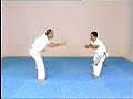 Advanced Capoeira. Mestre Paulao Ceara. 03