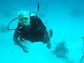 More Sea Bed antics More Sea Bed antics