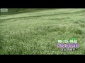 白の条件