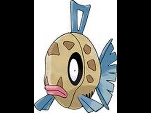 how to feebas in pokemon x