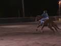 videos de WEB 0041