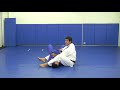 Arm Bar Variation from Renzo Gracie Academy