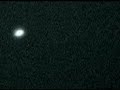 Orb accidently harms bird?