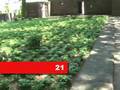 videos de Inside the Langemark German Cemetery, Belgium