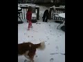 Lydia and the dogs in the snow