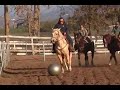 big ball polo 1-20-08