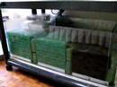 Moving Bed Filter