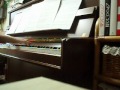 �R���q�v ���A�e�L�T�X