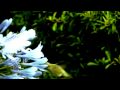 Efterklang - Doppelgänger Efterklang - Doppelgänger
