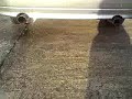 MOV00296
