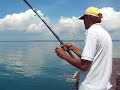 kelong 钓到鞋带鱼 kelong 钓到鞋带鱼