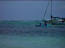 Lagoon Reef Eco- Challenge San Pedro