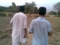 mardan katlang, wajid funny.mp4